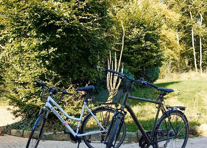 Restaurant Waldschloesschen 2*